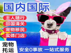 衢州空运公司国际宠物托运 【国